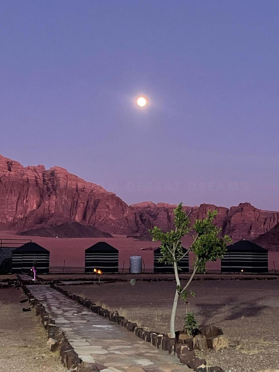 Wadi Rum Desert Nights Hotel Екстериор снимка